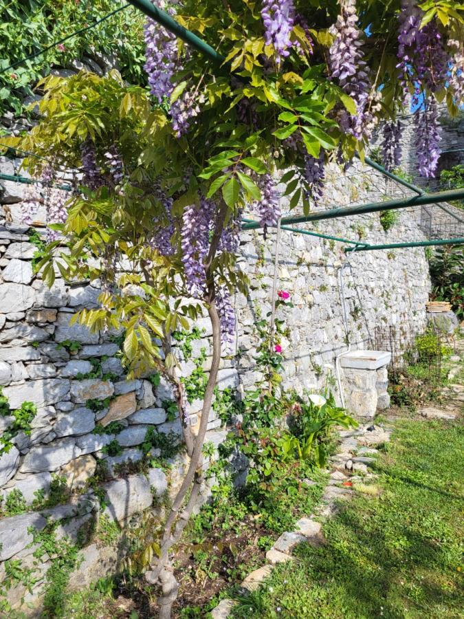 La Bouganvilla Porto Venere Exterior foto