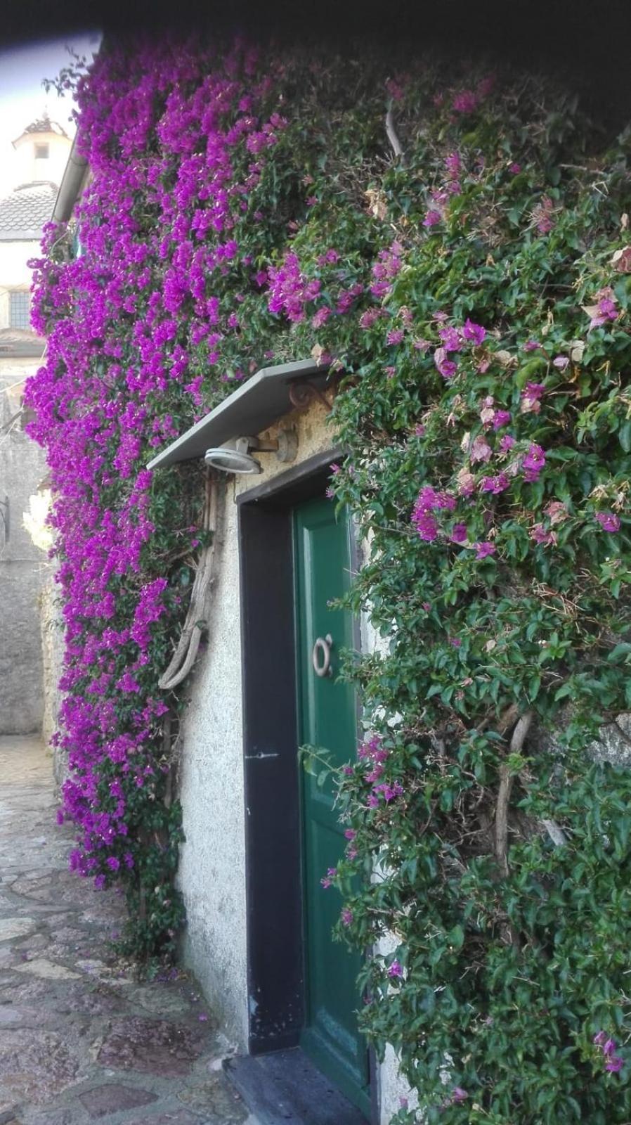 La Bouganvilla Porto Venere Exterior foto